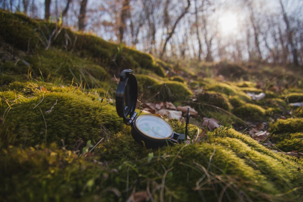 Ruine Schalksburg – Ein historischer Ausflug mit&nbsp;Aussicht