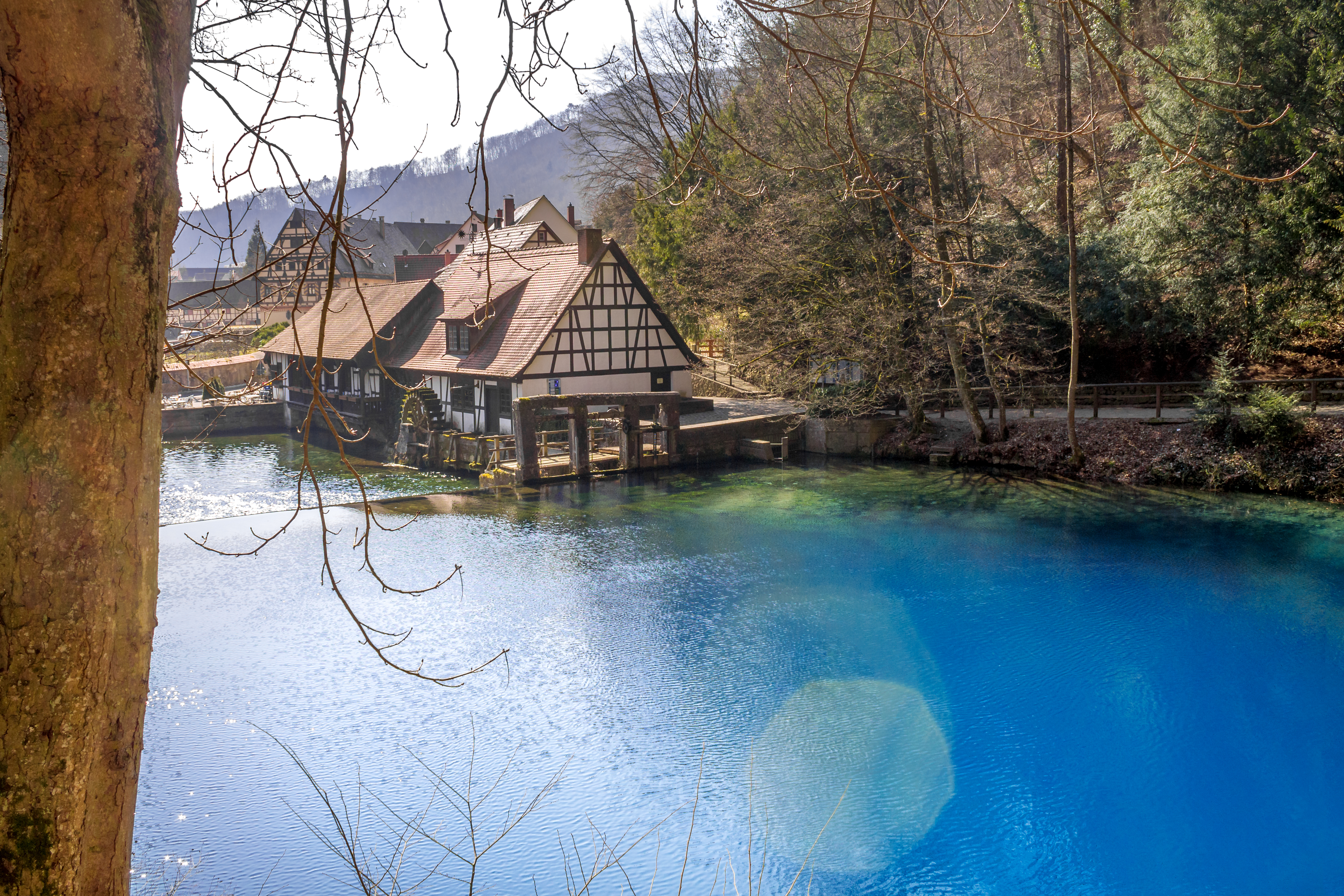 Familie genießt einen Ausflug in Baden-Württemberg mit Blick auf die malerische Natur und das Blautopf-Highlight.