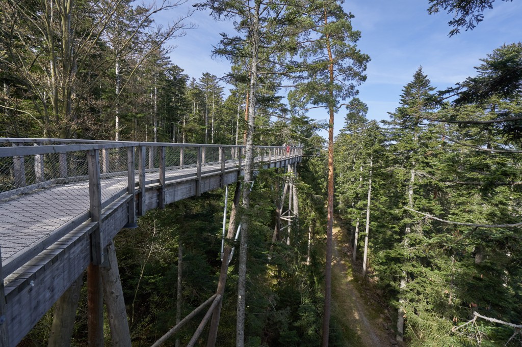 Die schönsten Familienwanderungen in Baden-Württemberg