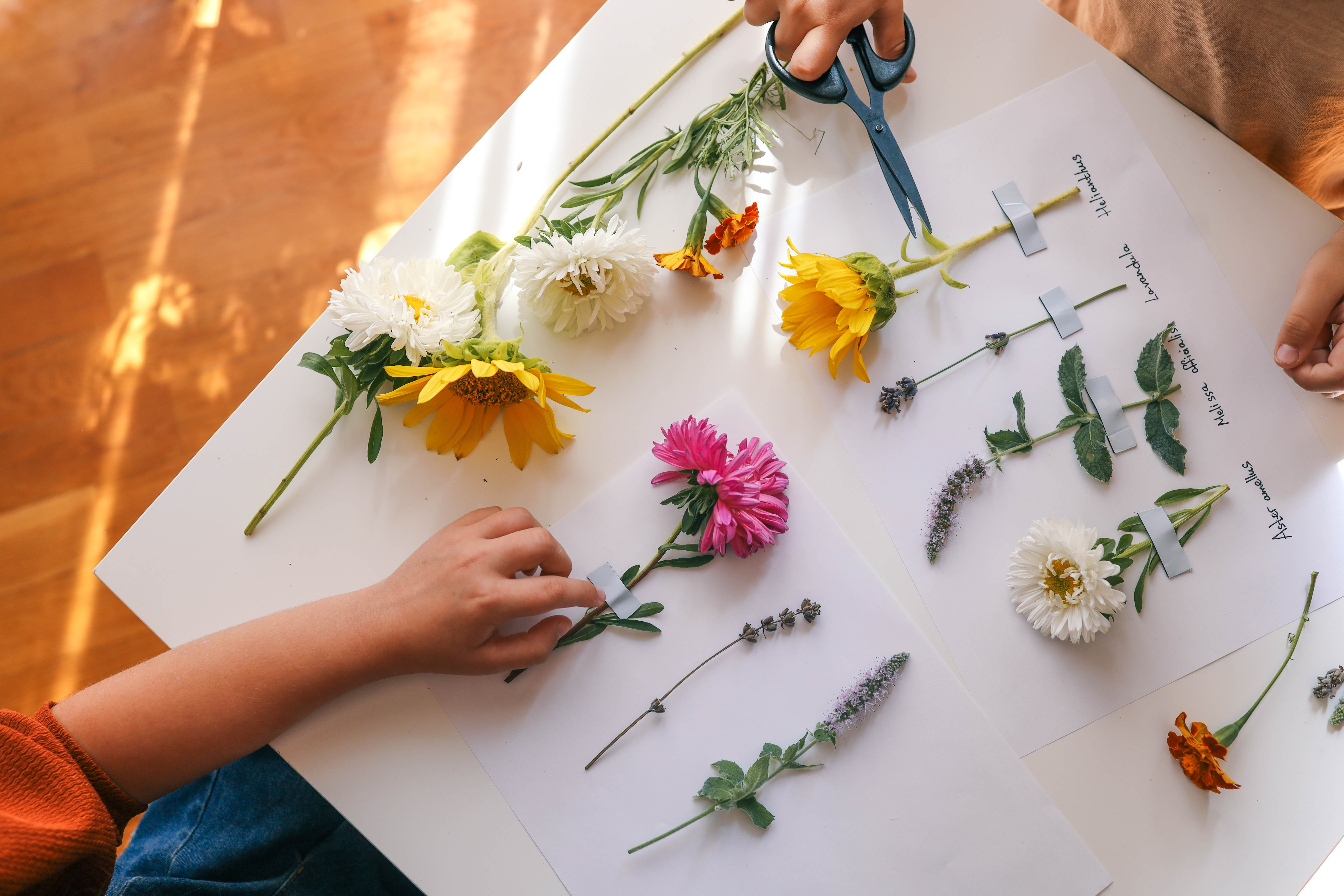 Kind gestaltet ein Bild mit echten Blumen auf weißem Papier.